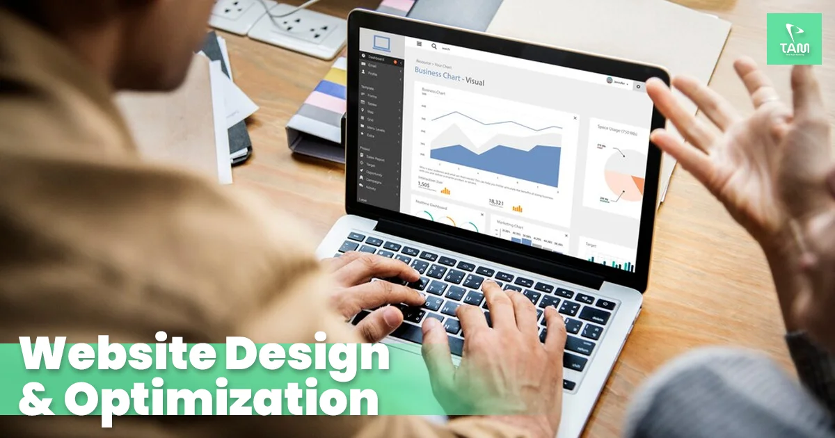 Website Design and Optimization