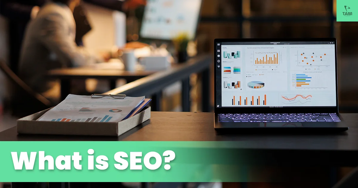 What is SEO