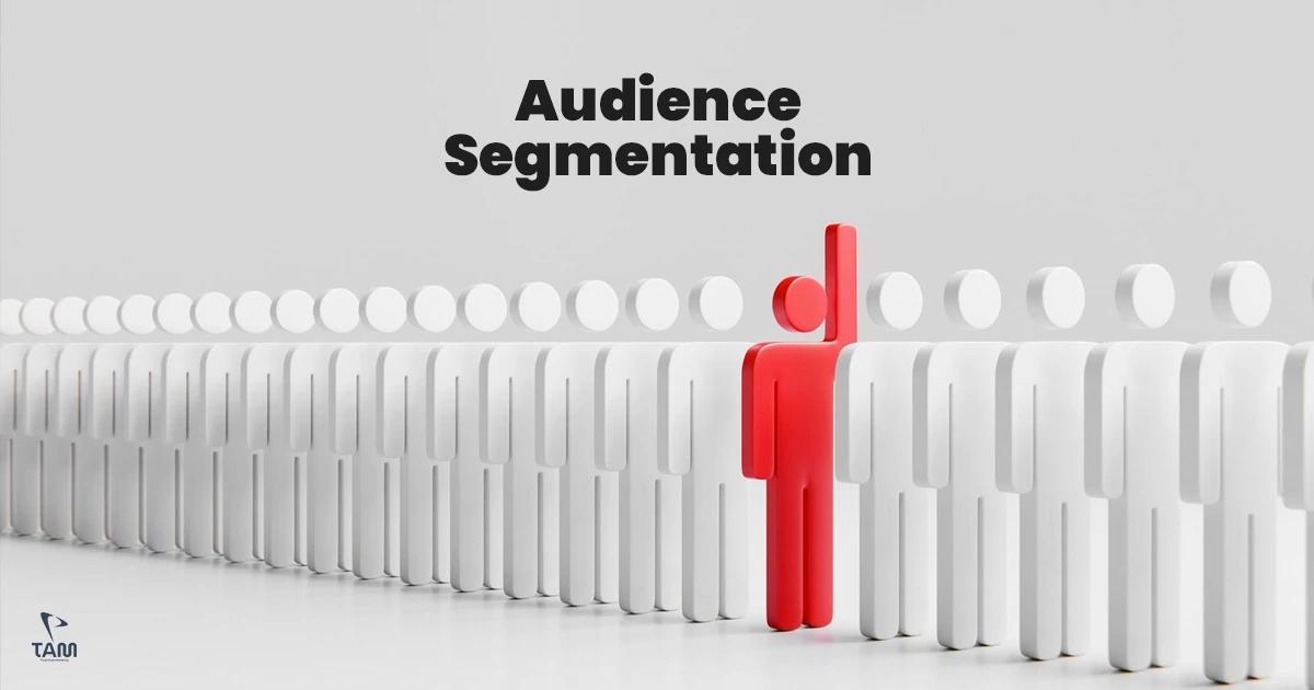 Audience Segmentation