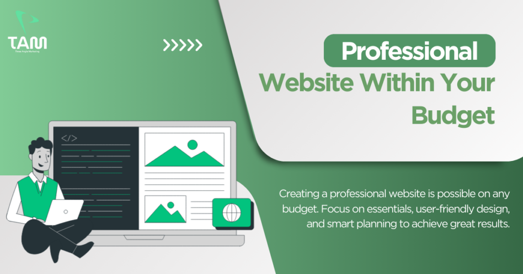 Professional website within your budget